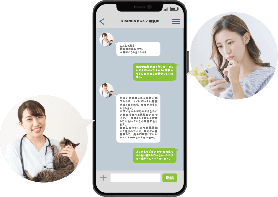 獣医師さんに相談中